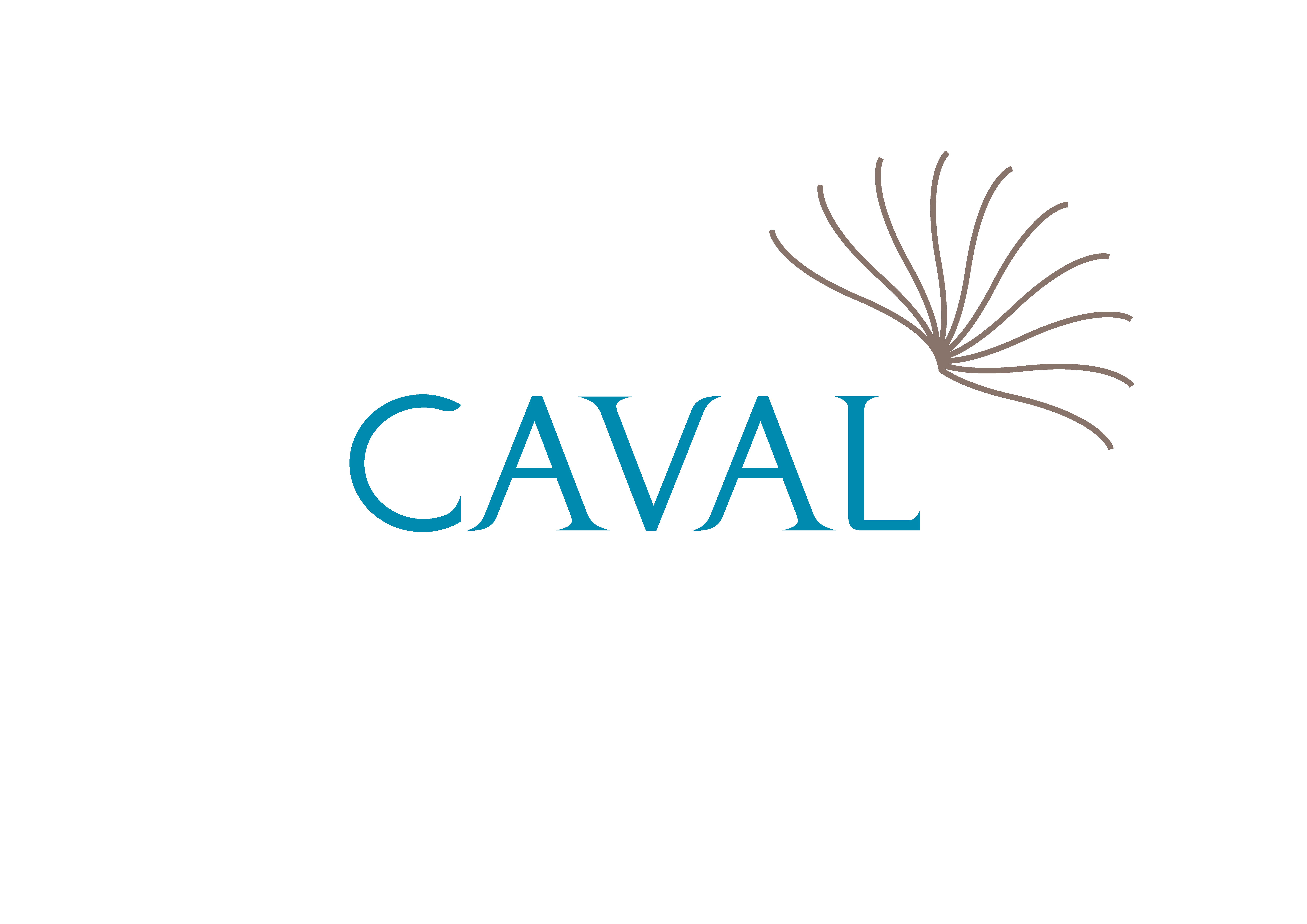 CAVAL Logo